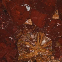 red-petry